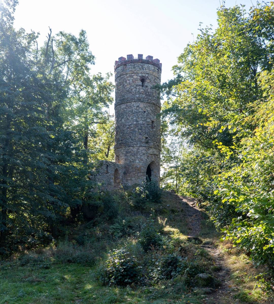 Zdjęcie 2