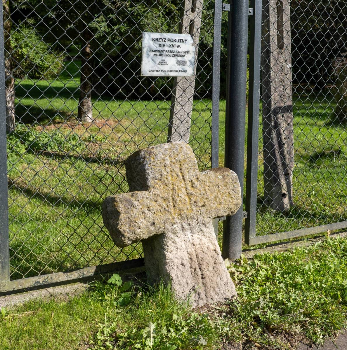 Zdjęcie 4