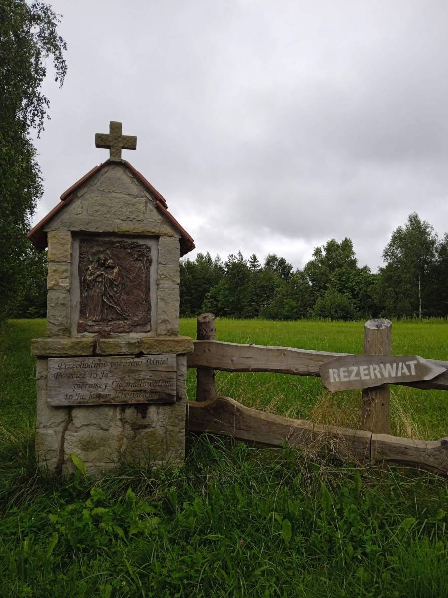 Zdjęcie 6