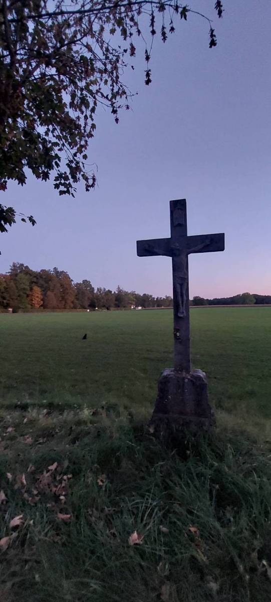 Zdjęcie 2