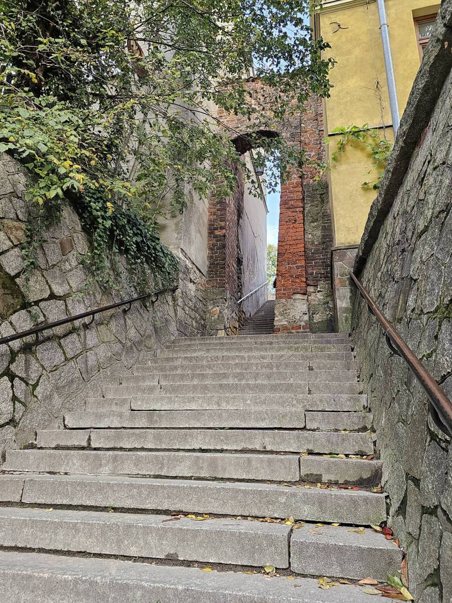 Zdjęcie 6