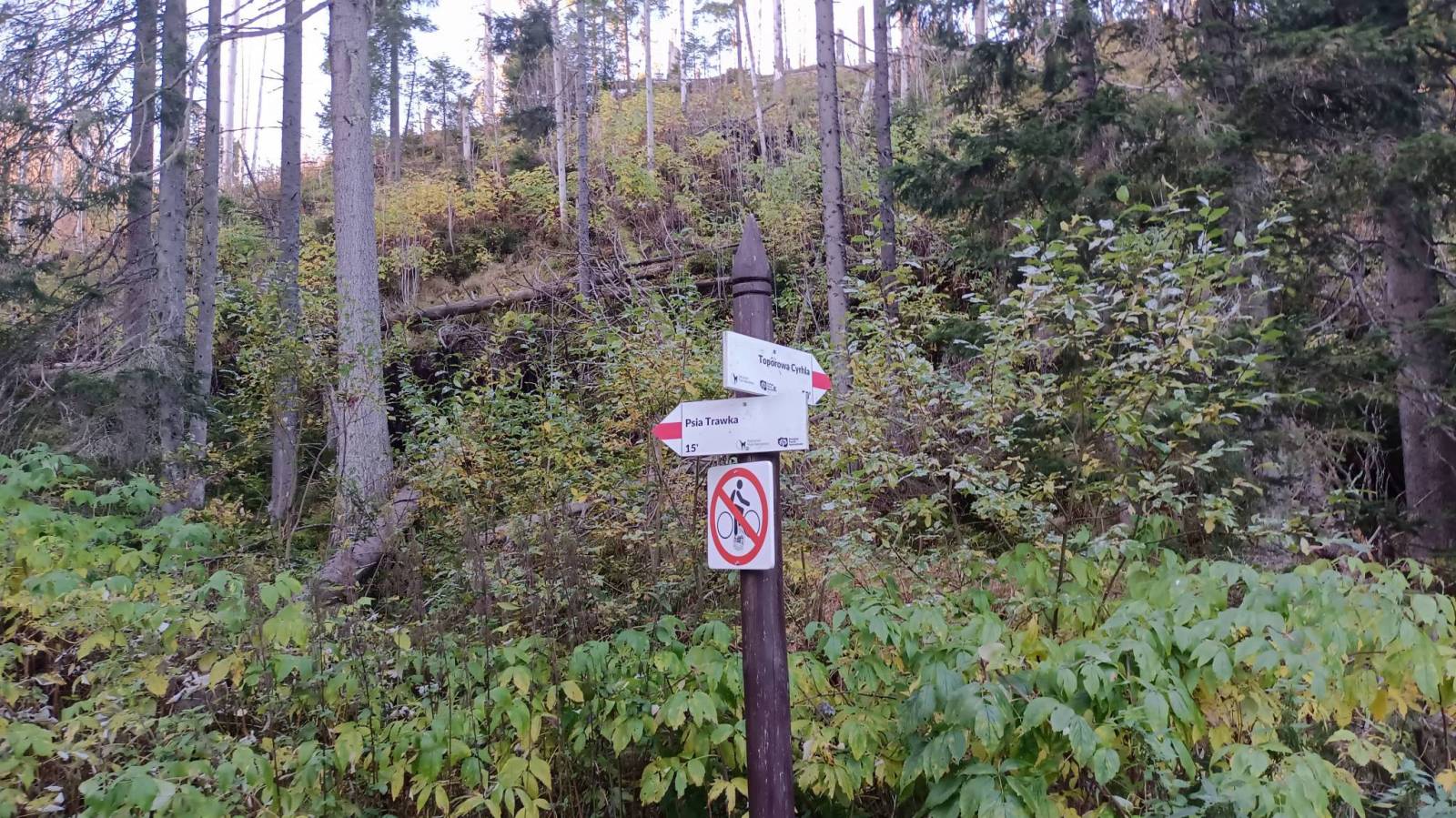 Zdjęcie 3