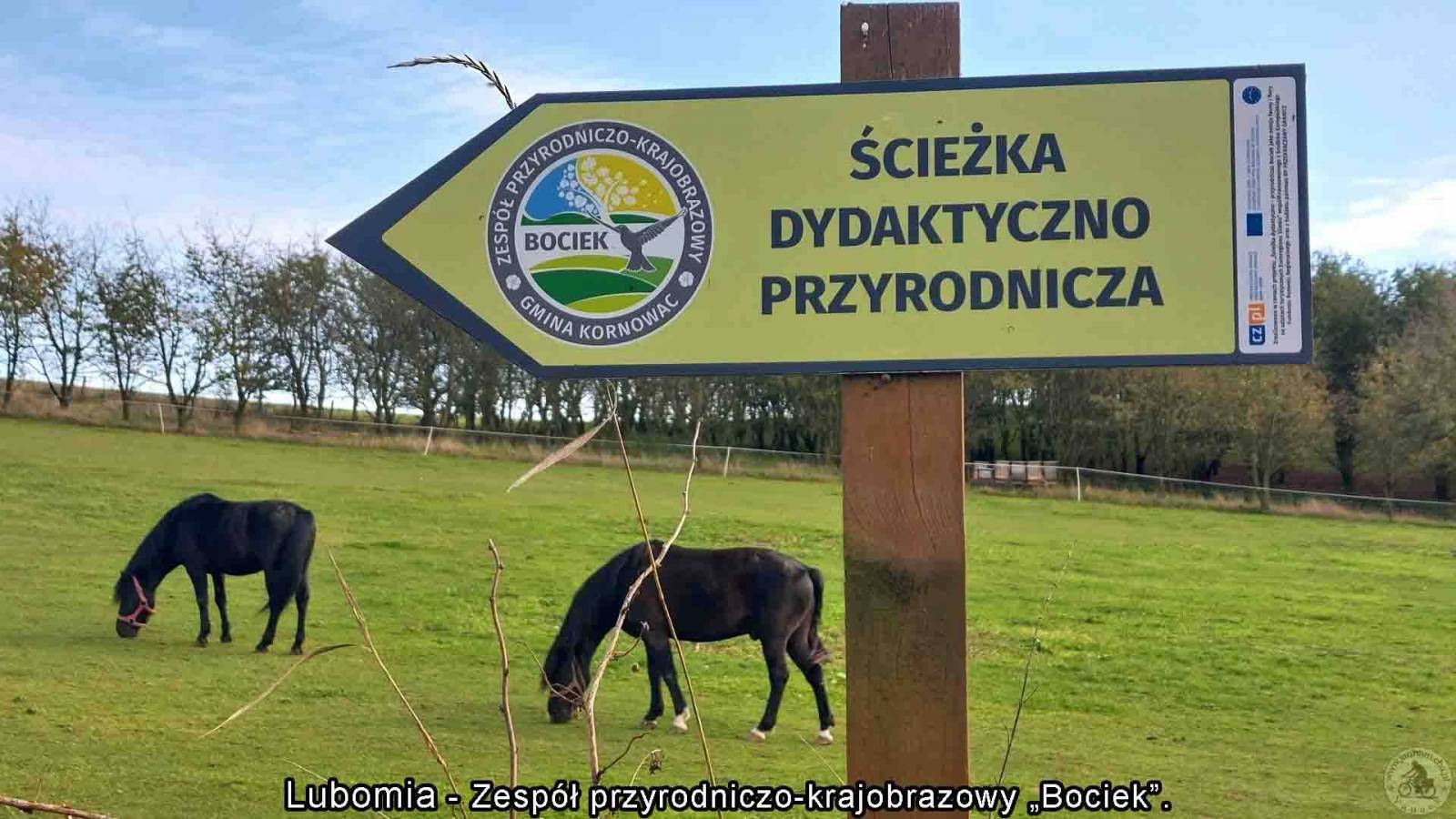 Zdjęcie 5
