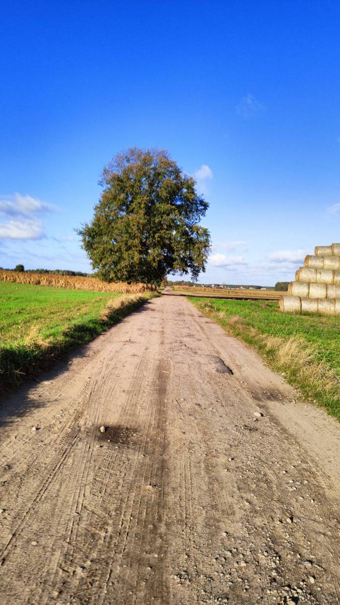 Zdjęcie 3