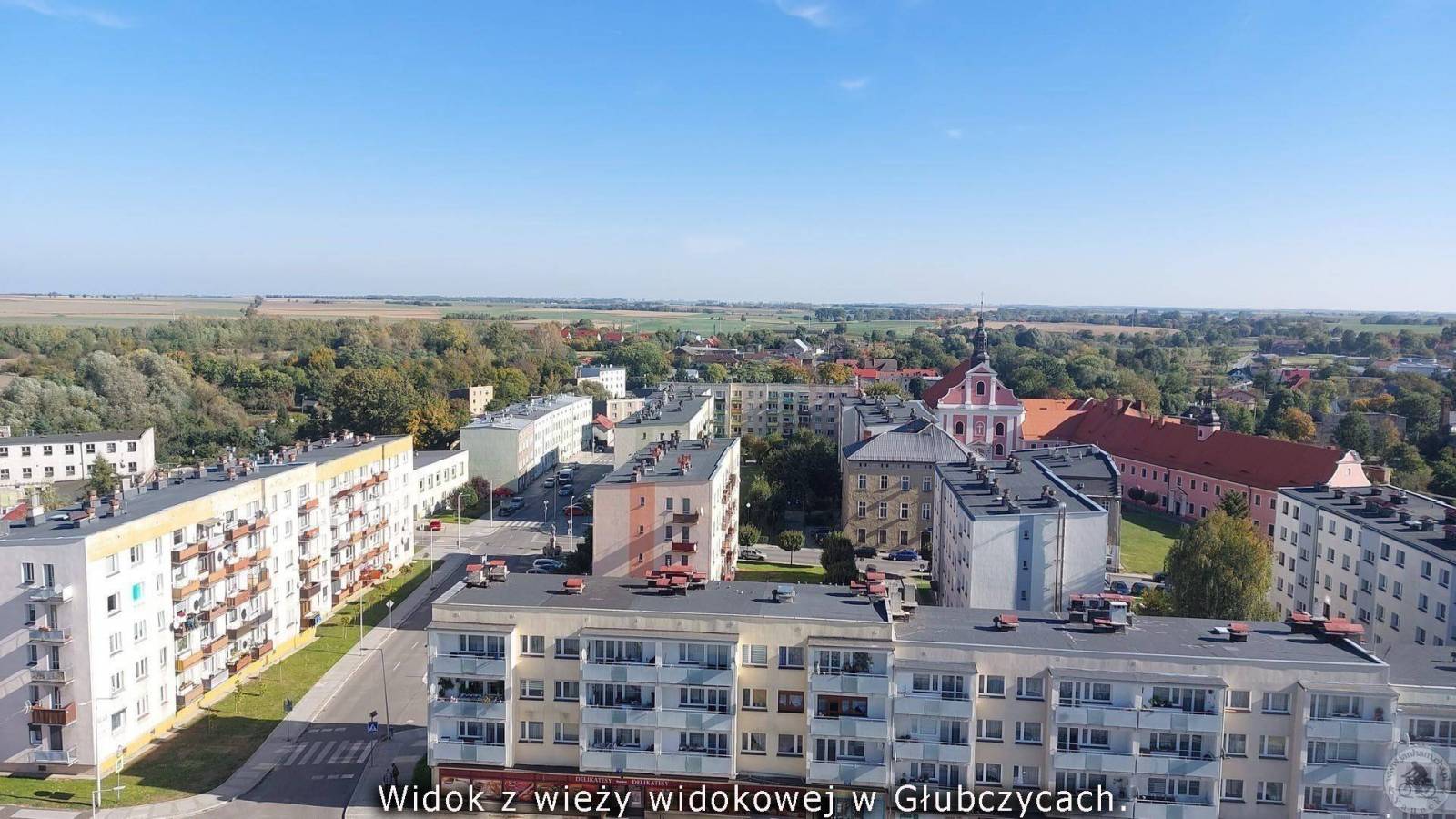 Zdjęcie 5