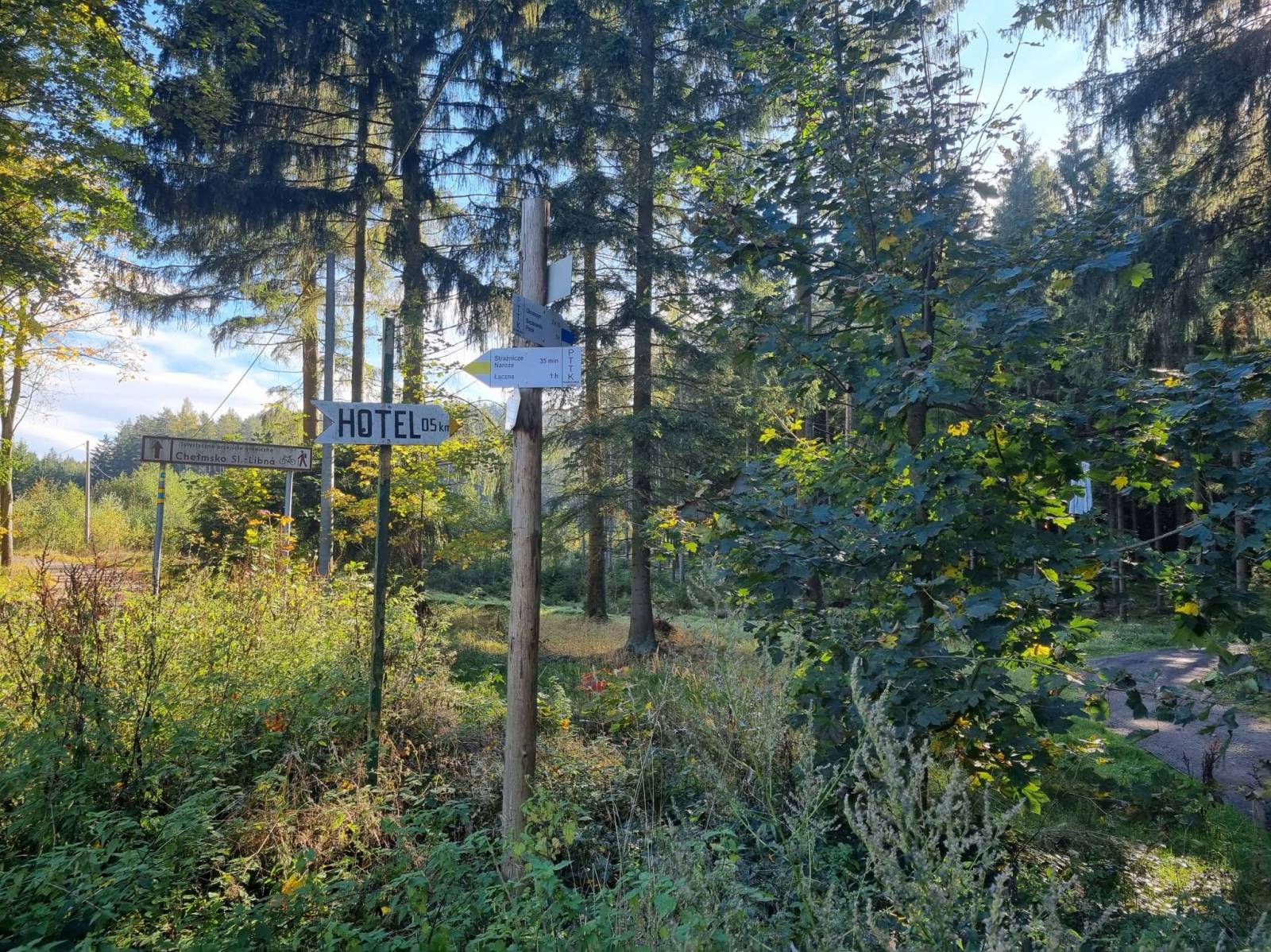 Zdjęcie 4