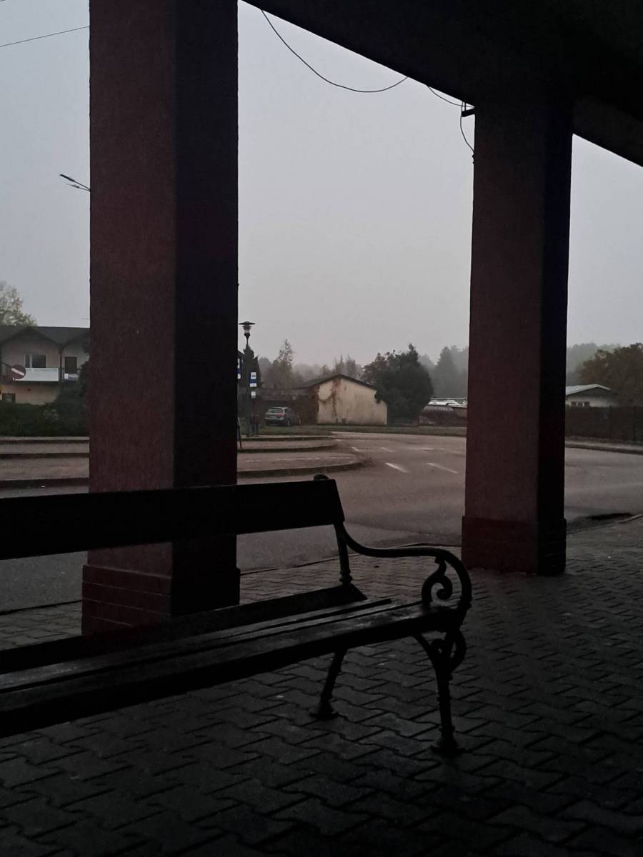 Zdjęcie 5