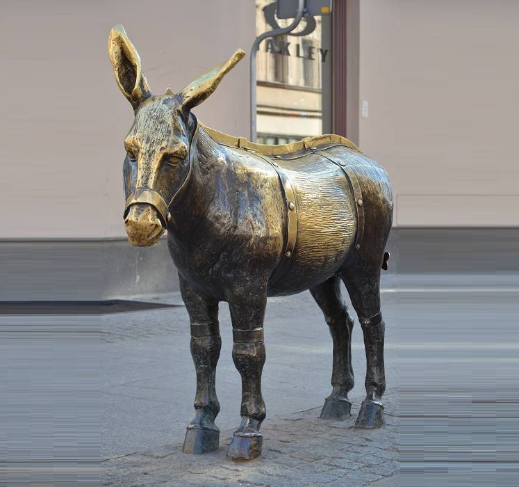 Zdjęcie 2