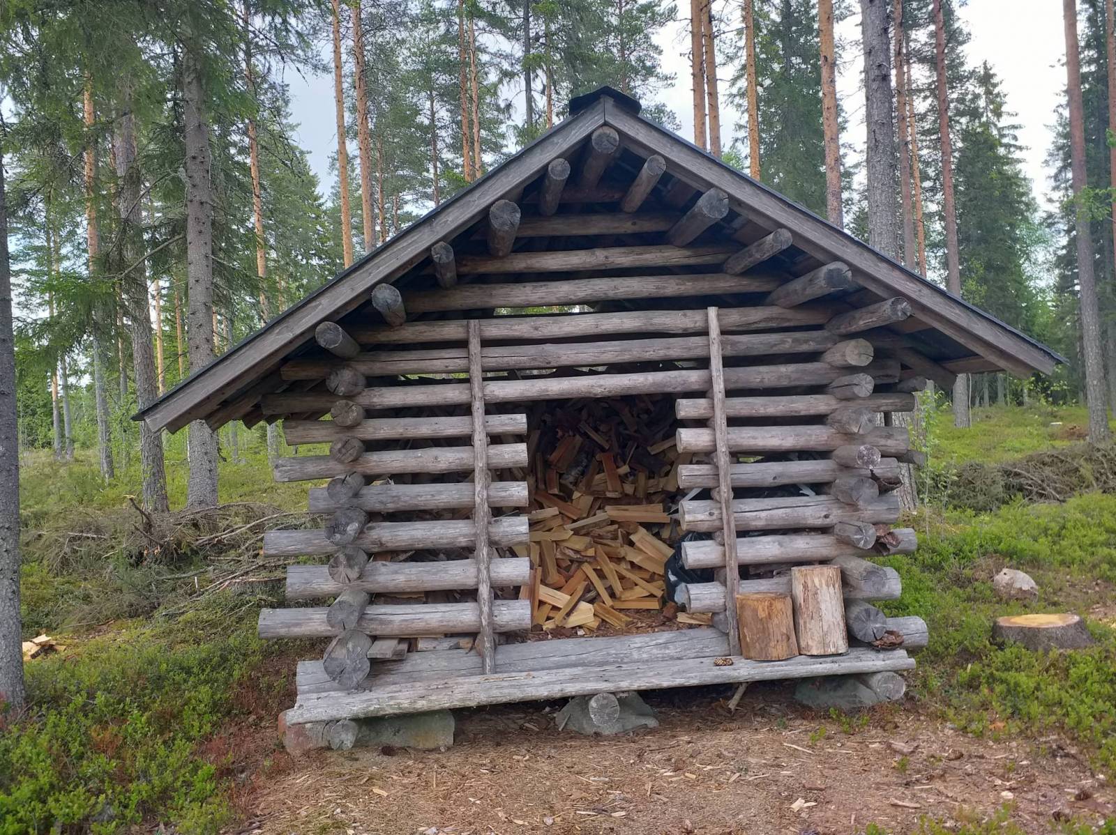 Zdjęcie 3