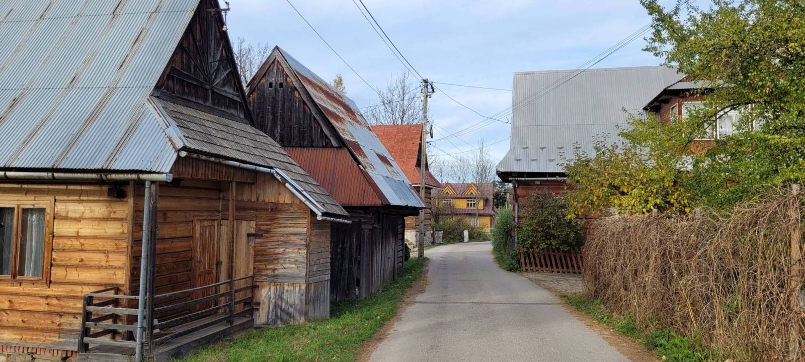 Zdjęcie 5