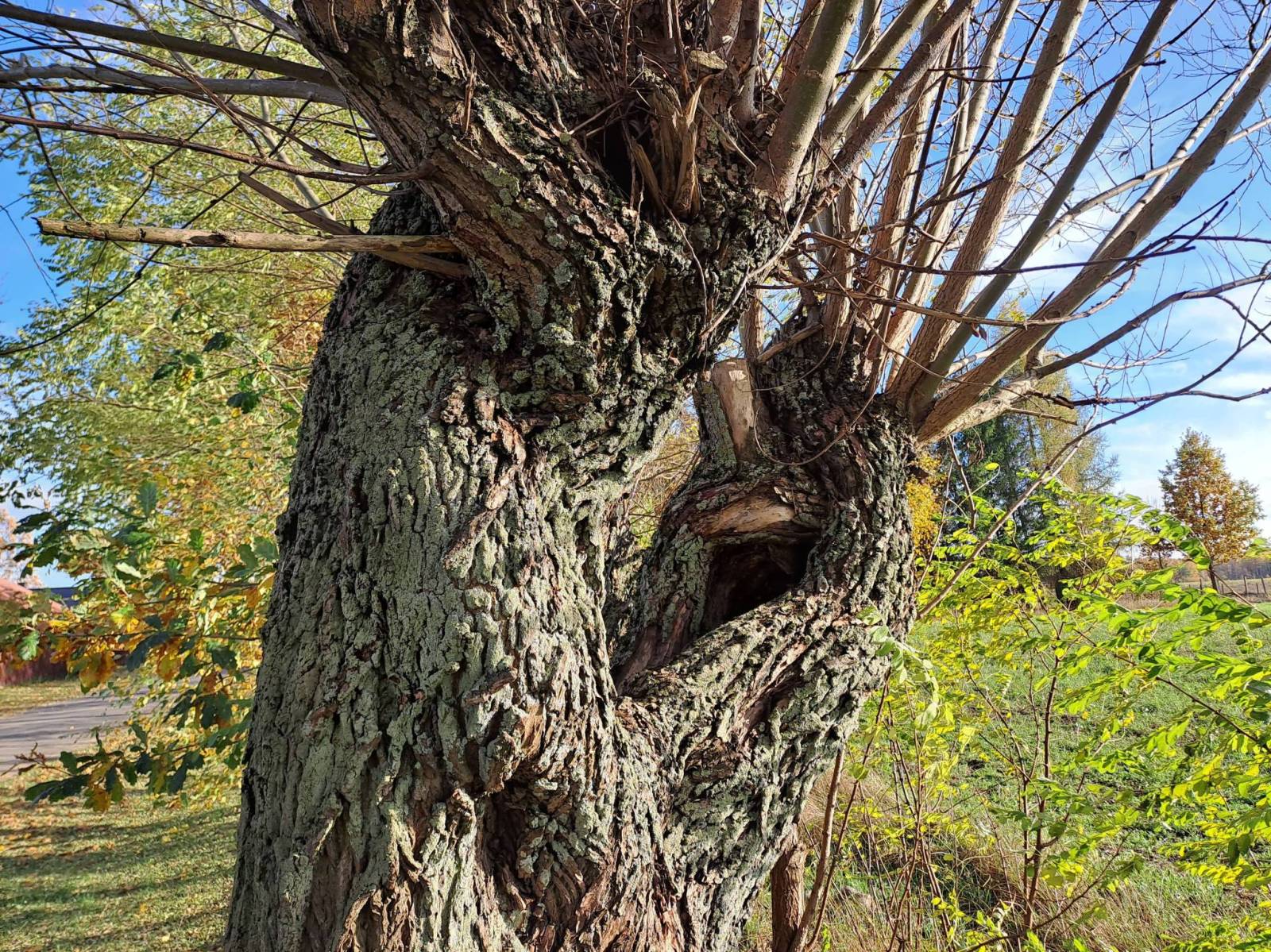 Zdjęcie 4