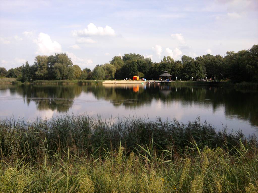 Zdjęcie 6