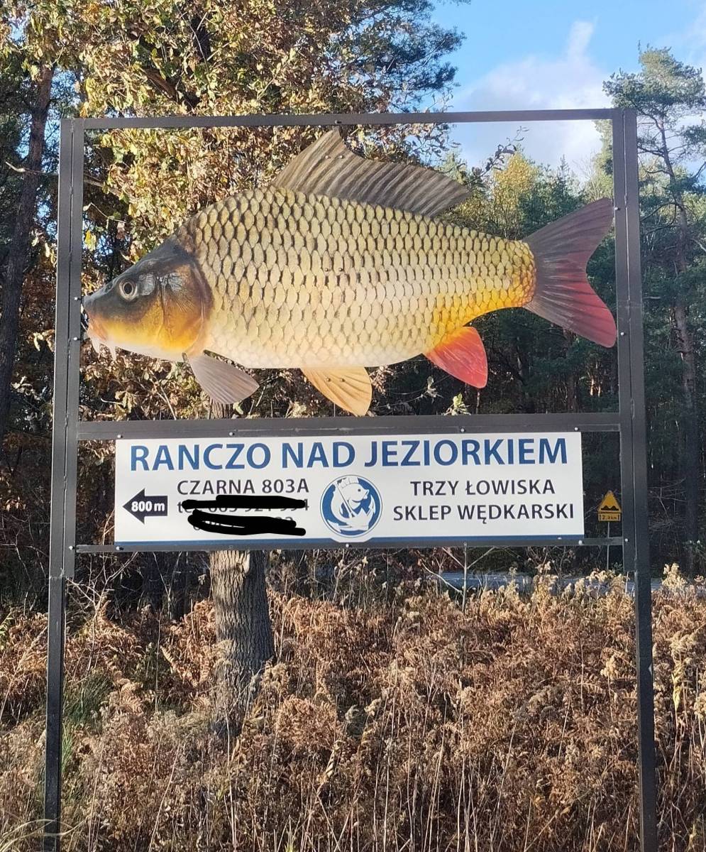 Zdjęcie 6