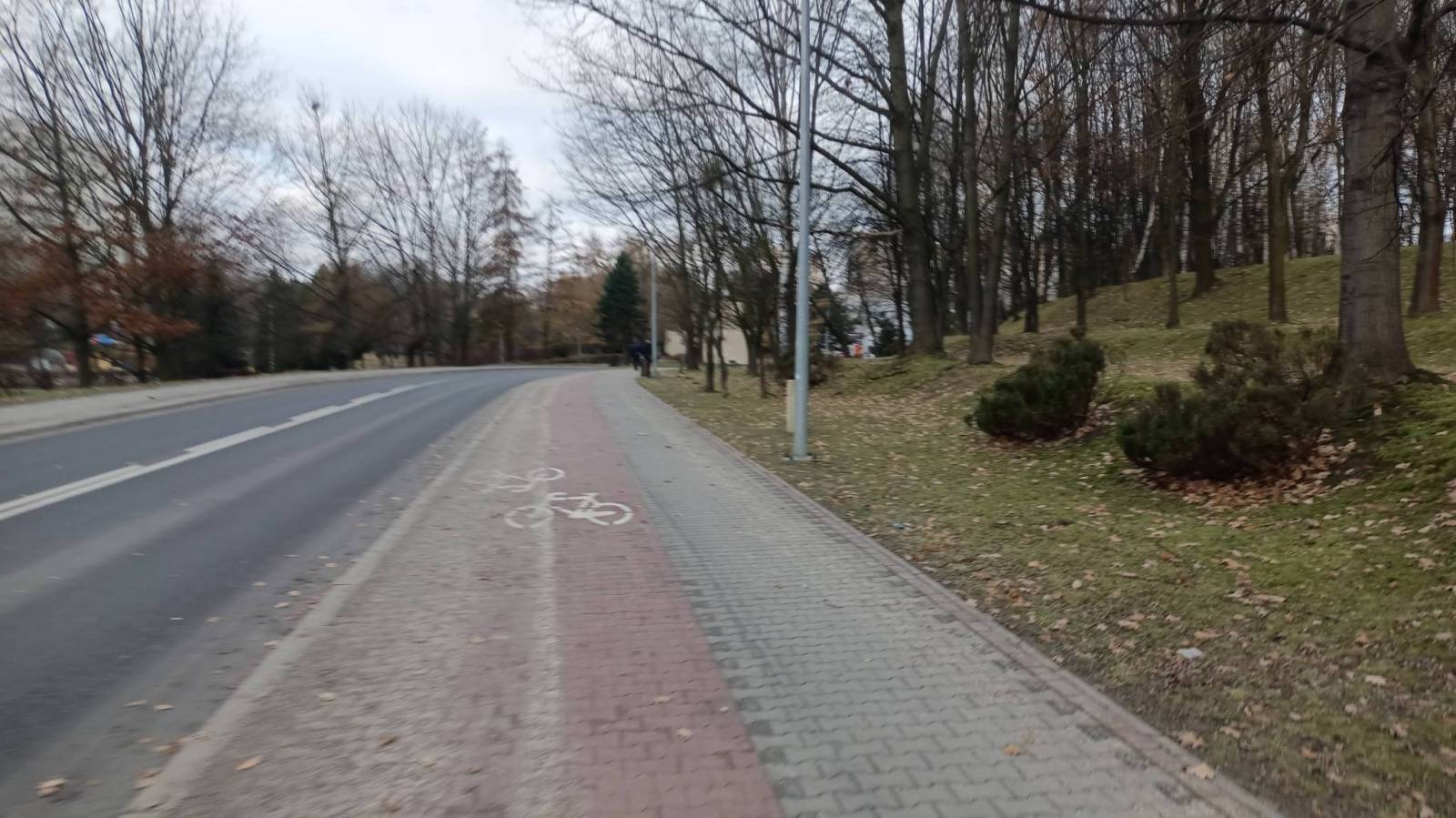 Zdjęcie 5