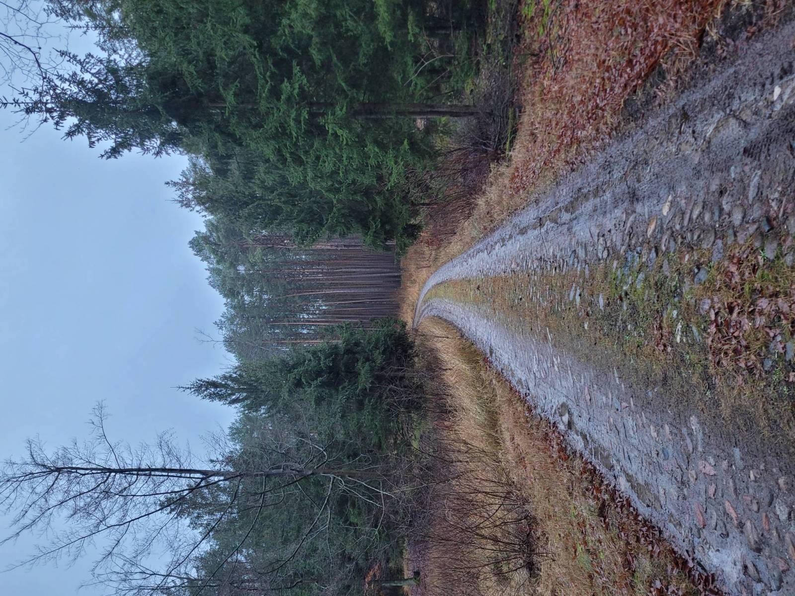 Zdjęcie 6