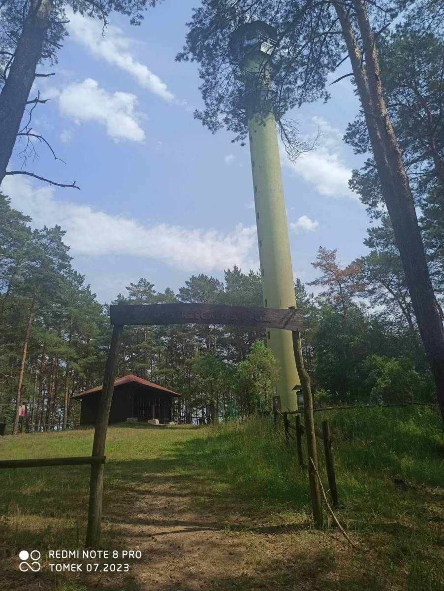 Zdjęcie 4