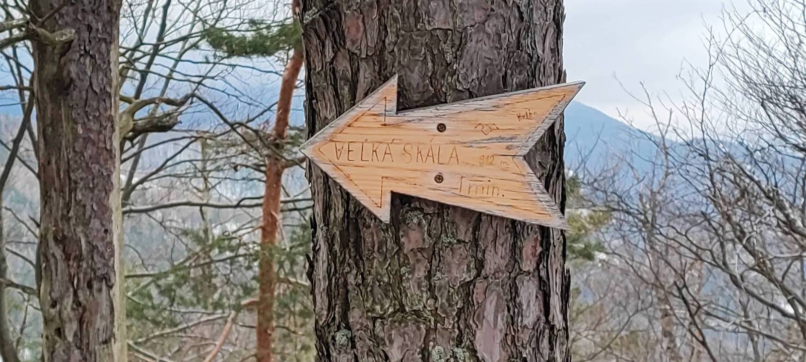Zdjęcie 4