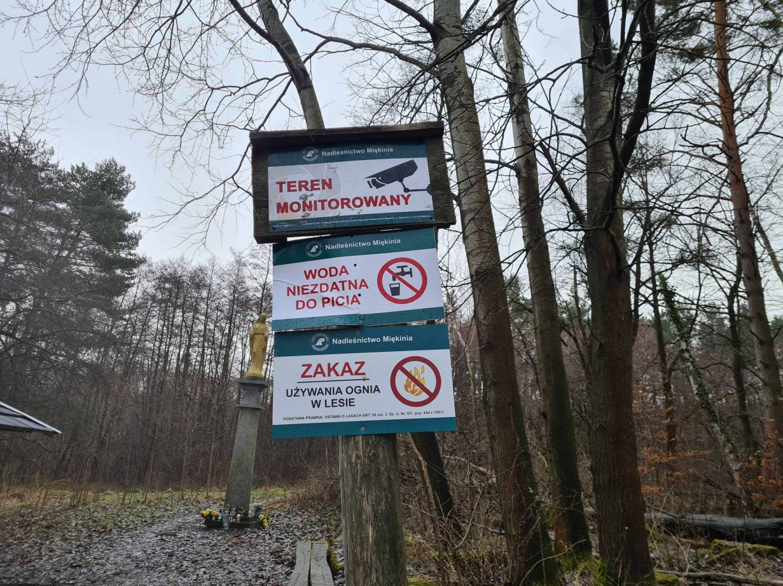 Zdjęcie 4