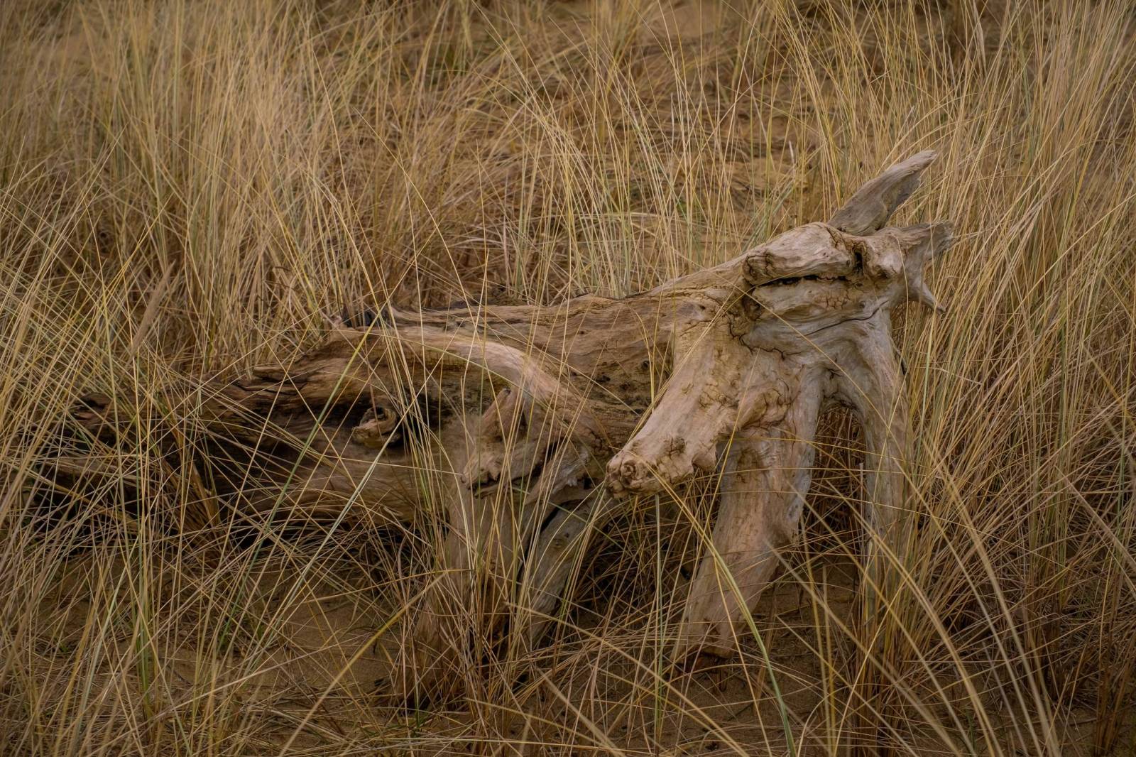 Zdjęcie 4