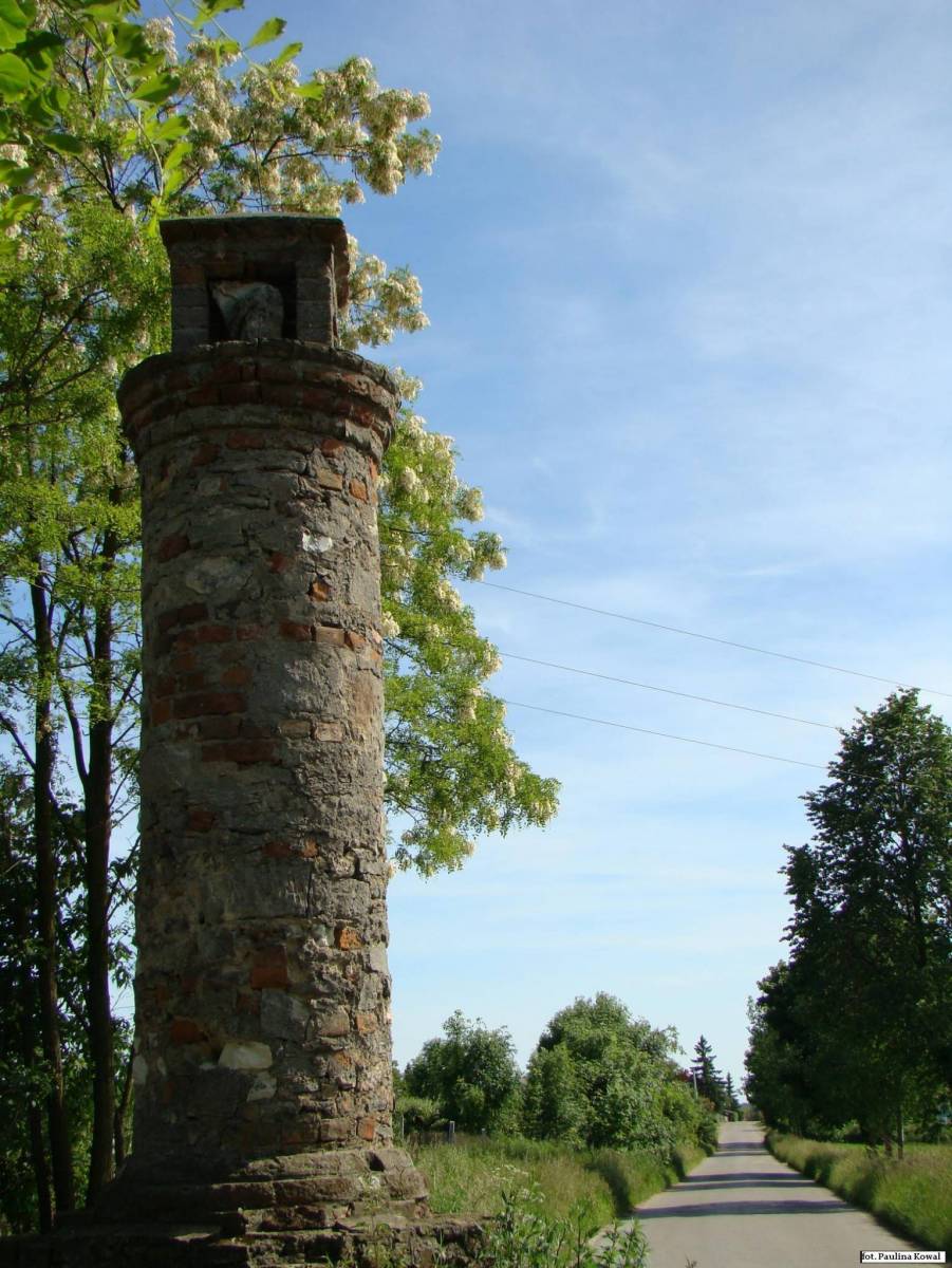 Zdjęcie 5