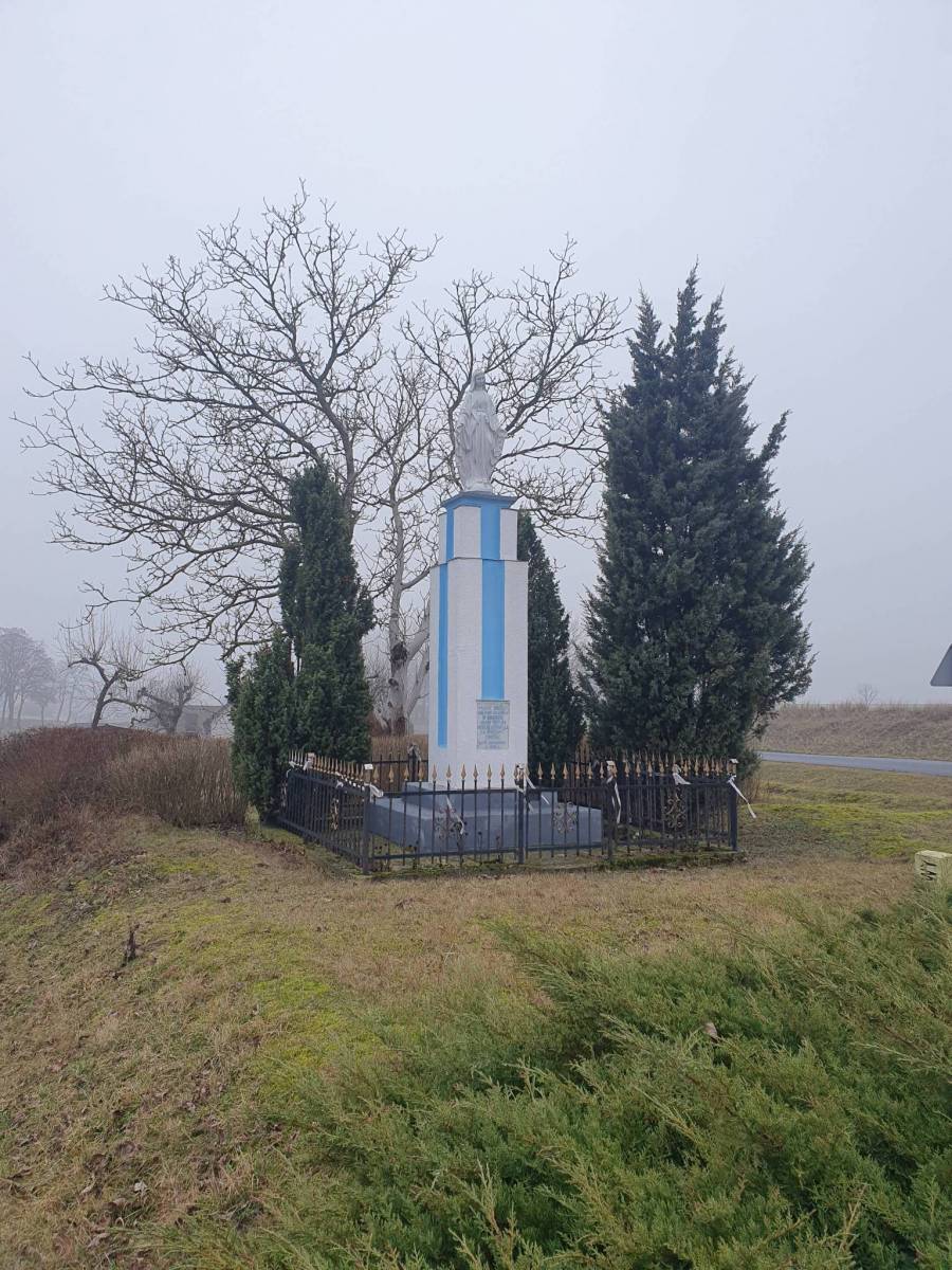 Zdjęcie 6