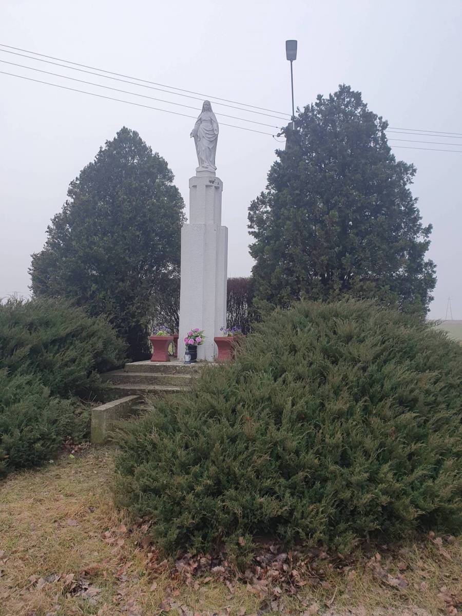 Zdjęcie 4