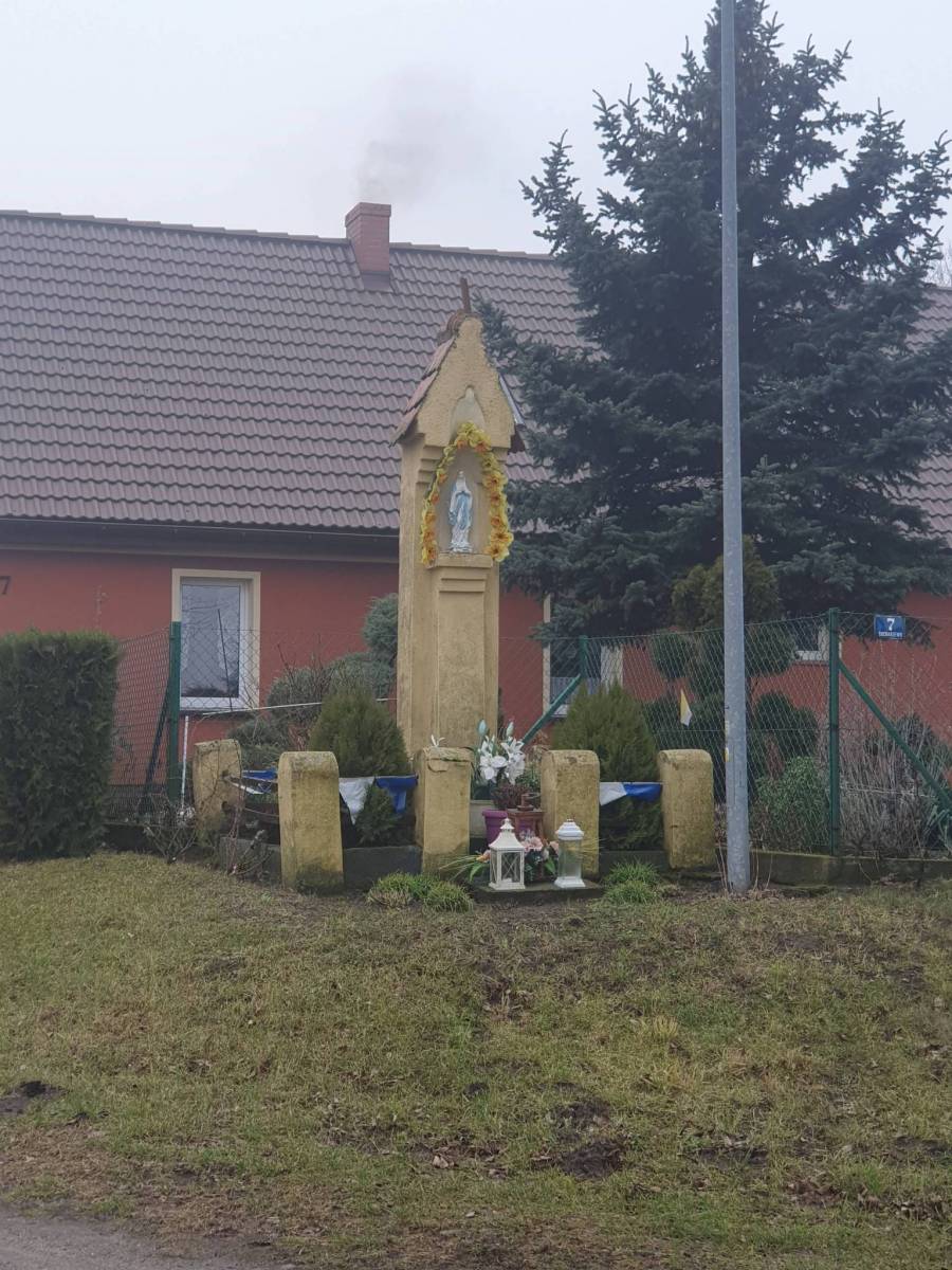 Zdjęcie 5