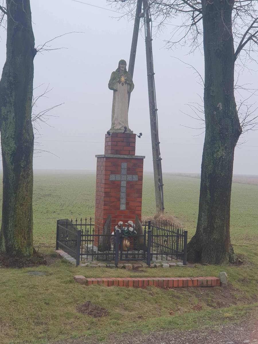 Zdjęcie 6