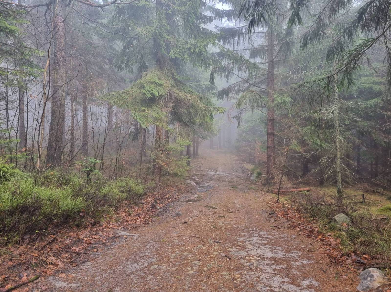 Zdjęcie 5