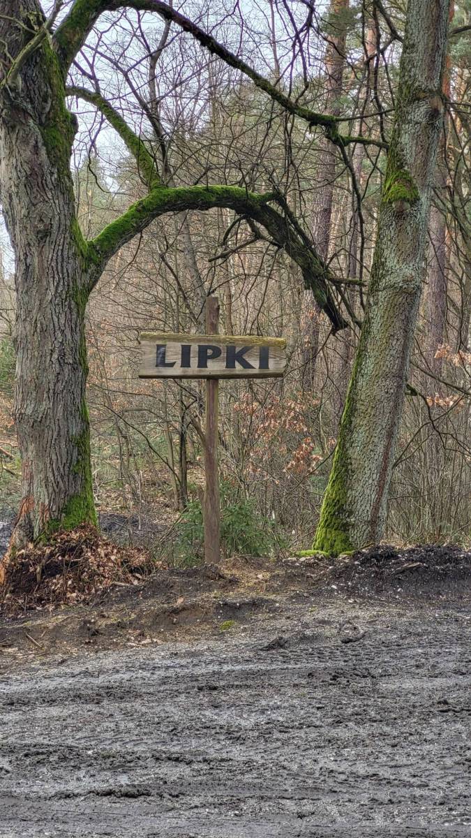Zdjęcie 5