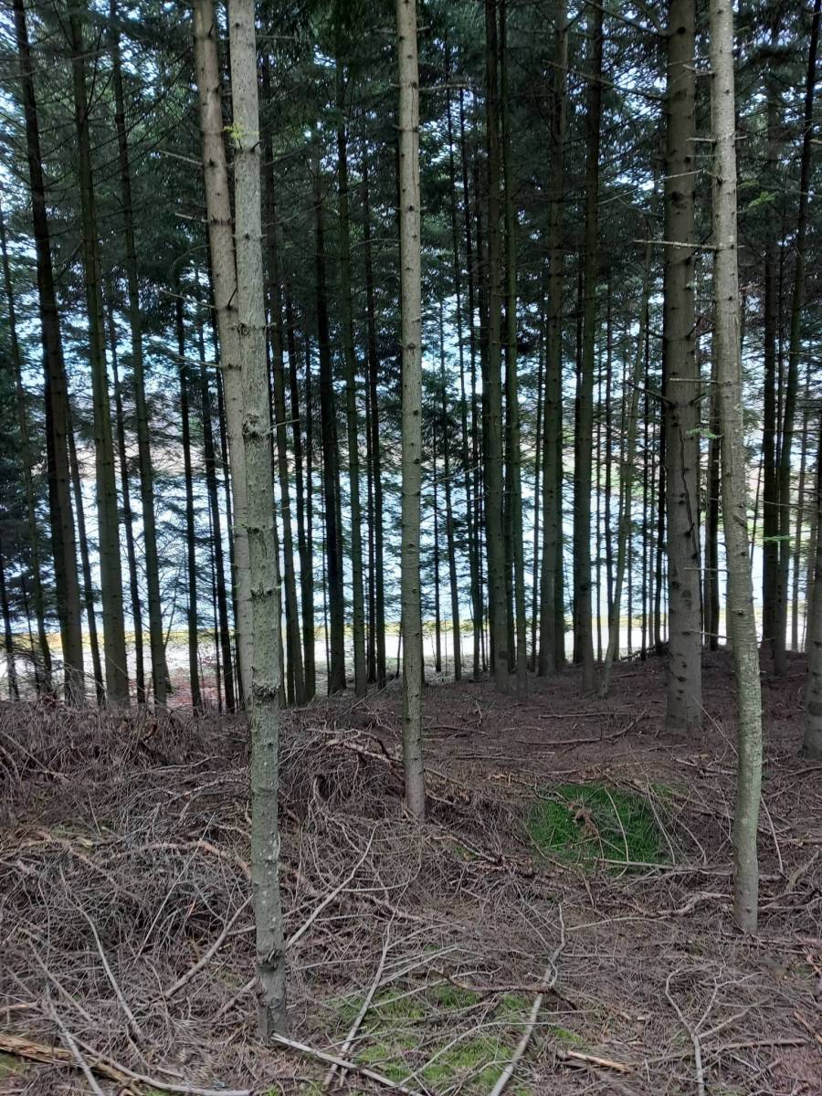 Zdjęcie 2