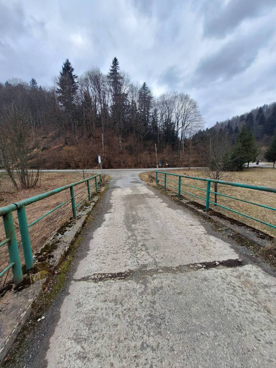 Zdjęcie 6