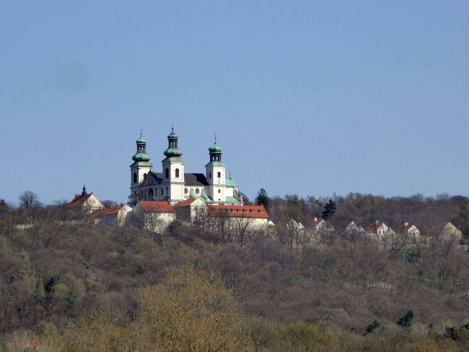 Zdjęcie 6
