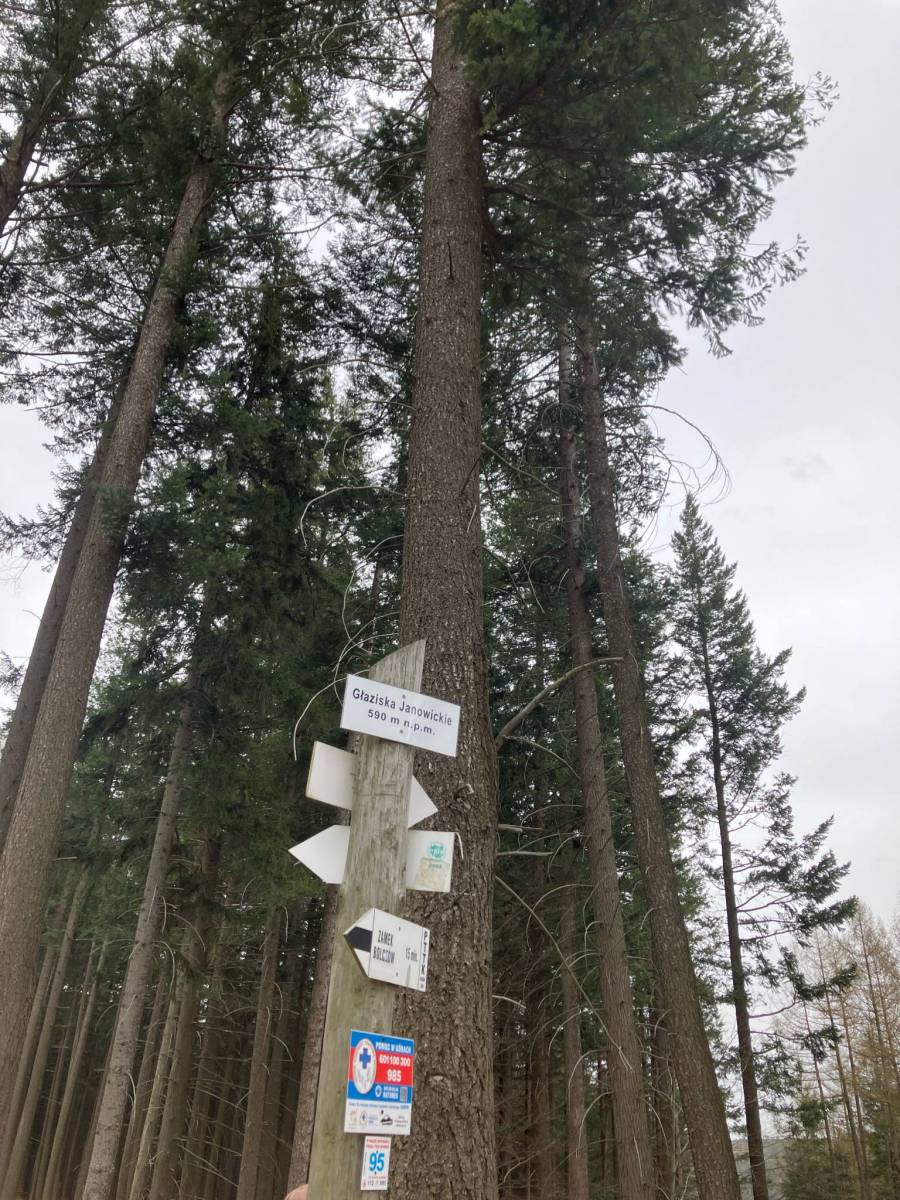 Zdjęcie 4