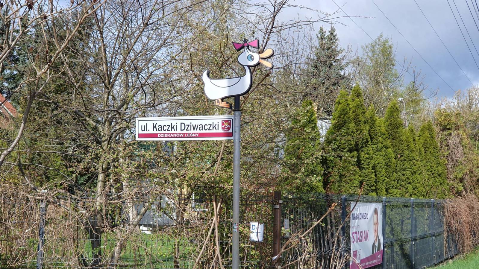 Zdjęcie 6