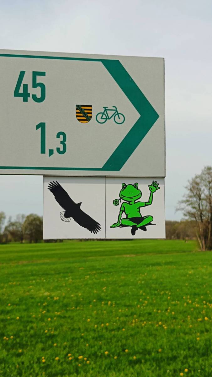 Zdjęcie 2
