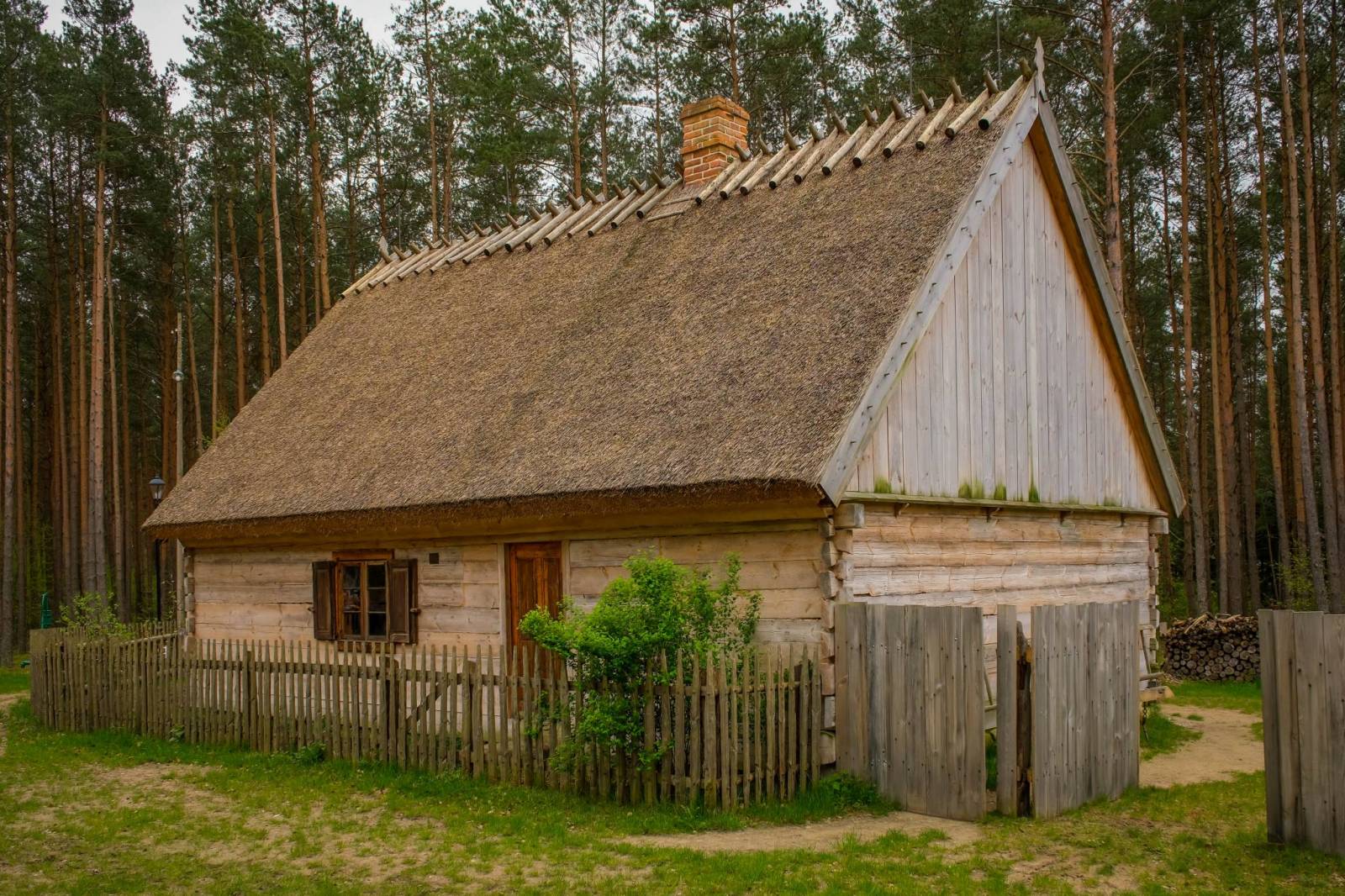 Zdjęcie 2