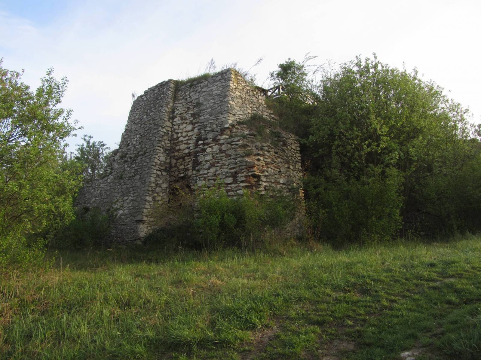Zdjęcie 2