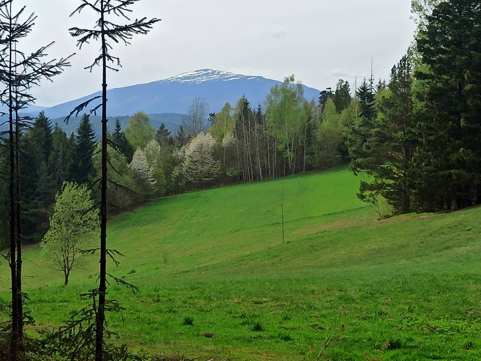 Zdjęcie 5