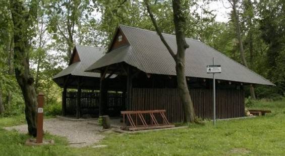 Zdjęcie 3