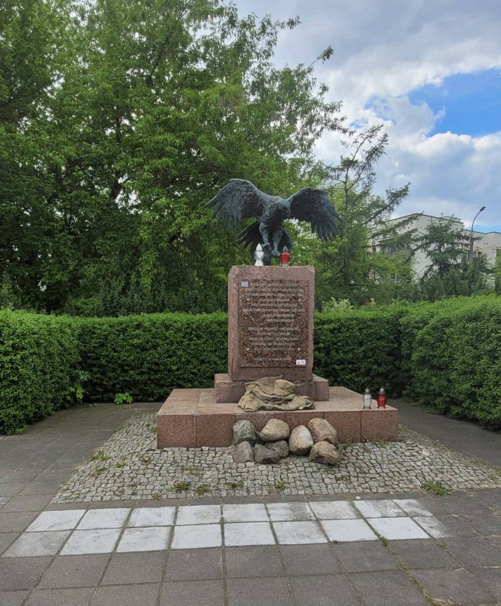 Zdjęcie 6