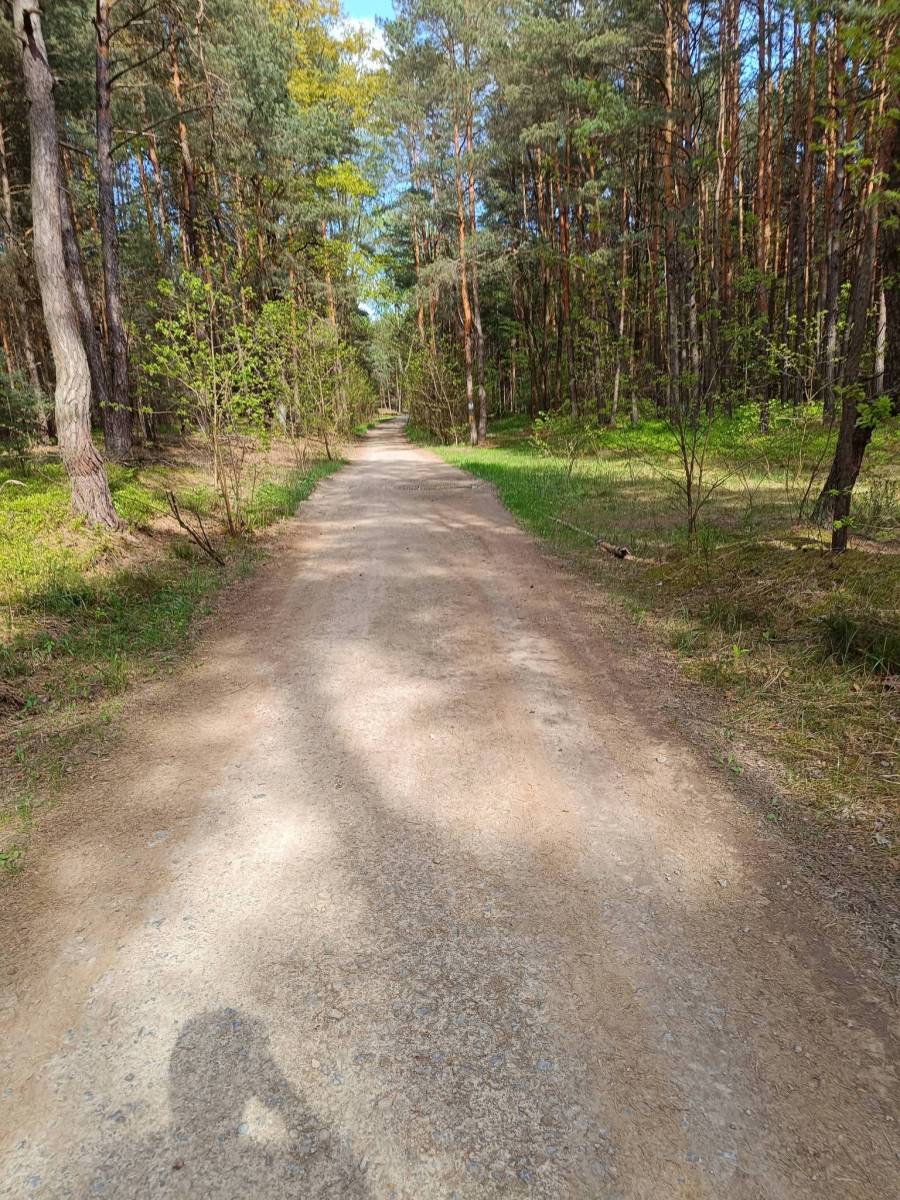 Zdjęcie 5