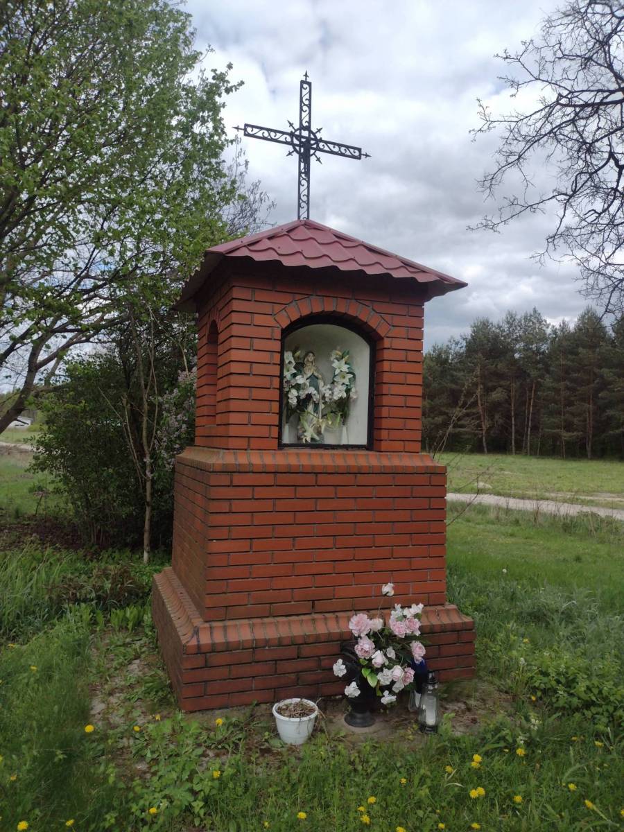 Zdjęcie 5