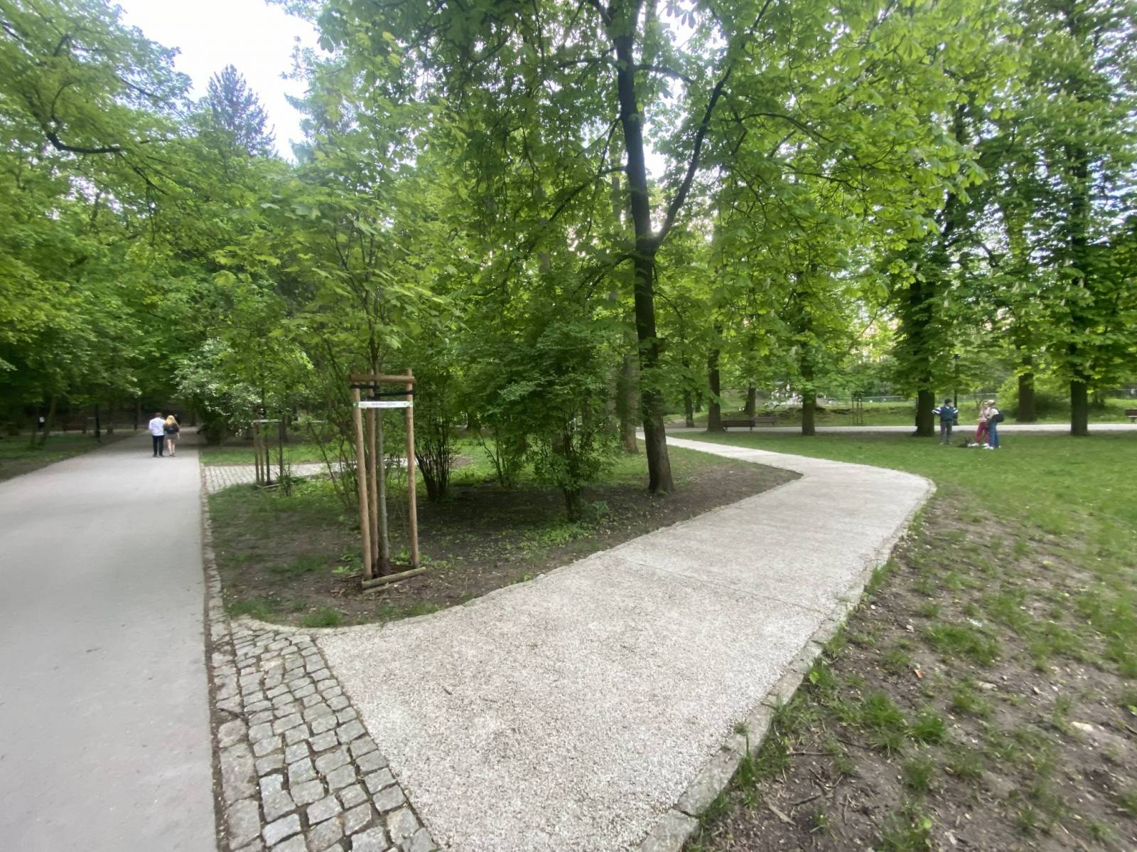 Zdjęcie 6