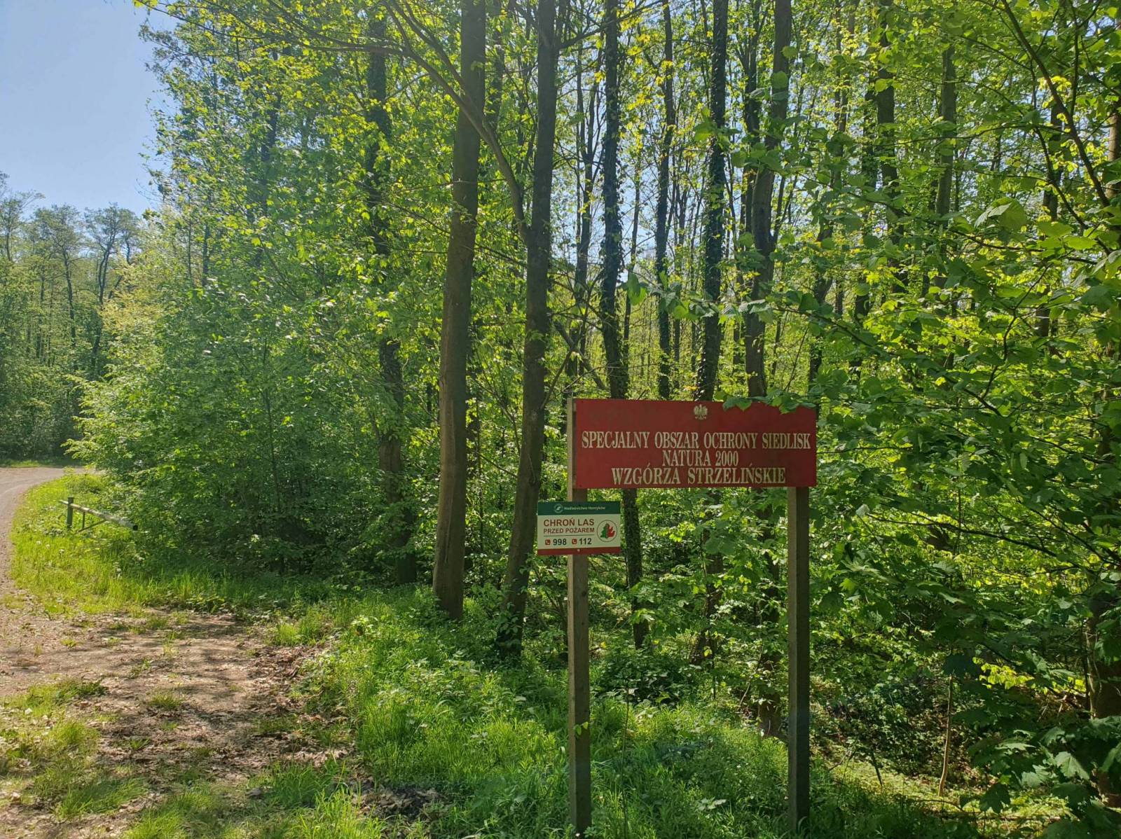 Zdjęcie 2