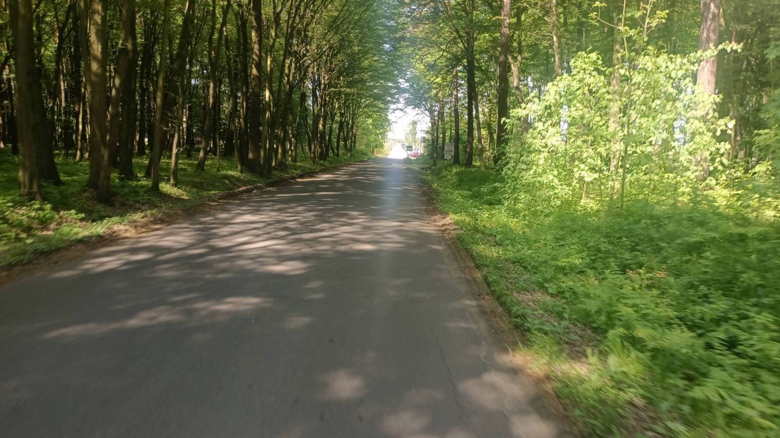 Zdjęcie 6