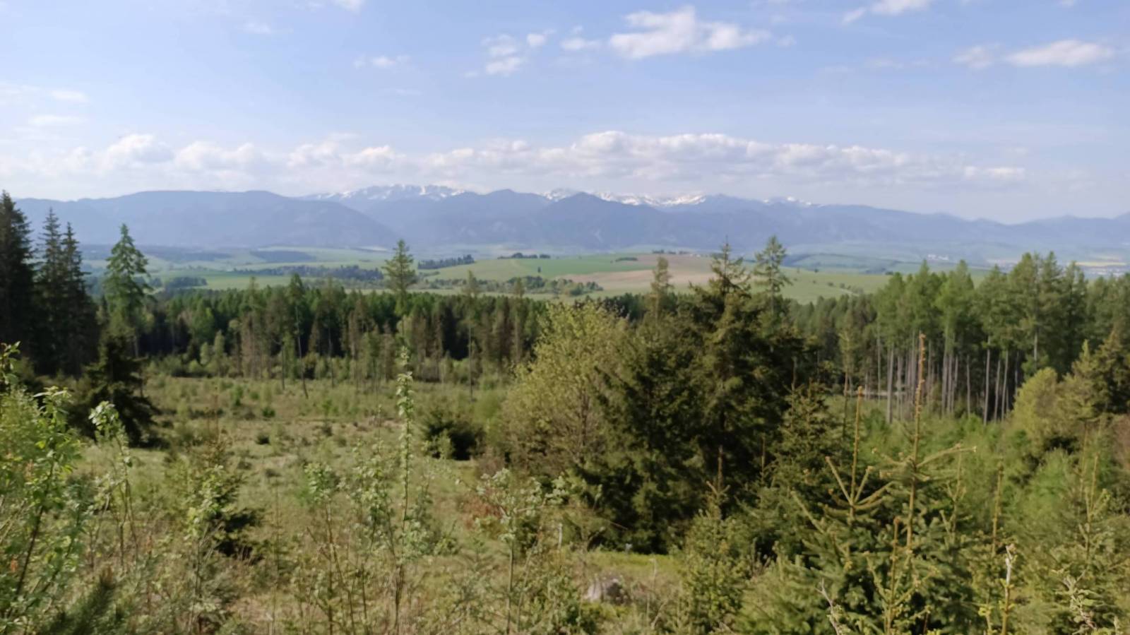 Zdjęcie 5