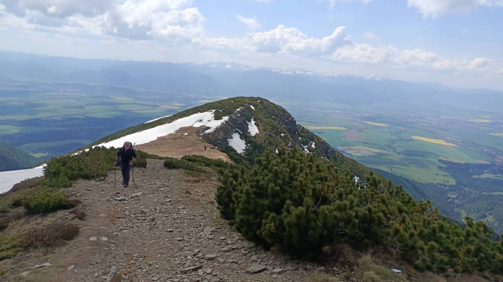 Zdjęcie 6
