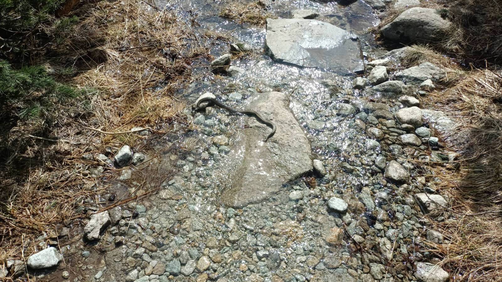 Zdjęcie 3