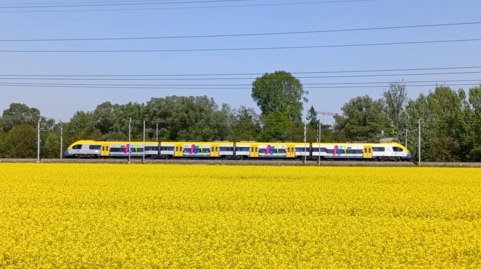 Zdjęcie 2